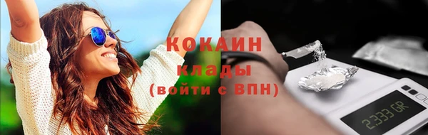 твердый Аркадак