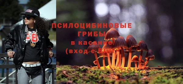 mix Арсеньев